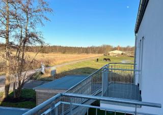 Koje "Boddenbrise" - Zingst - 0