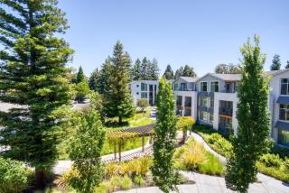 Mountain View 1BR w Pool Gym nr Target TJ SFO-590 - 5