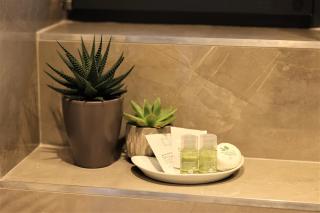 Cabana Armonia - Baia-Sprie - 1