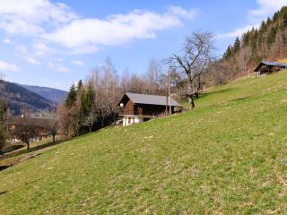 Chalet pour 6-8 pers. avec cheminée, plein sud et garage à 5 min du centre - FR-1-342-234 - Beaufort - 1