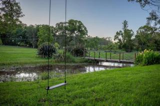 Cabin on Acreage w Ponies and Pool - Picketts Valley - 7