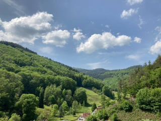 La belle vallée - Lalaye - 0