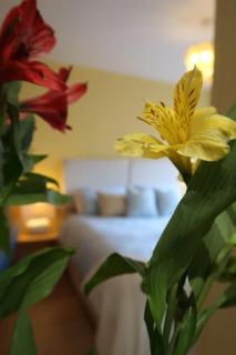 Bourne House, private modern apartment near Rugby & Lutterworth - - 1