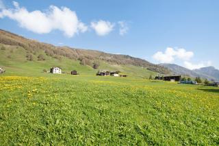 Baita Truzz appartamento Monte - Livigno - 3