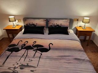 Casa Danas - Torrevieja - 7