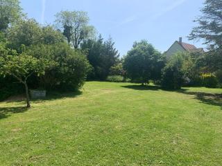 Le Margouillat - - 7