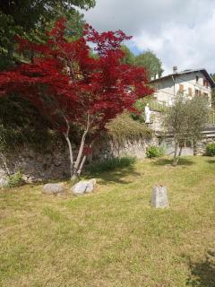 Villa Giulia - Lura - 6