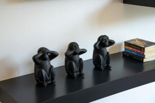 Serena calm pool house - 9