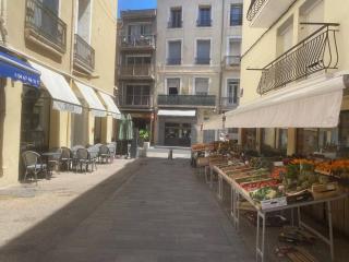 ''L'Amandier'' Cosy T2 en coeur de ville, climatisé - Sète - 1