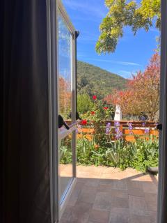 B&B La Fucinaia Pet Friendly Adults only - Campiglia Marittima - 2