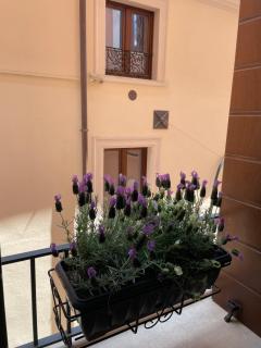 B & B Piazza Angioina - LʼAquila - 6