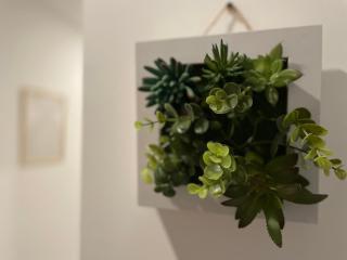 Studio Le Cilaos, au cœur de Castres - Castres - 4