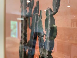 Studio Le Cilaos, au cœur de Castres - 7