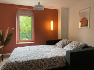 Studio Le Cilaos, au cœur de Castres - Castres - 2