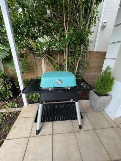 Elgin Townhouse-Excellent location - 6