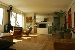 Ecostay de IJsvogel - Kampen - 0