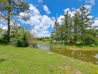 Le Bonheur est dans le Pré. - Saint-Romain-sur-Cher - 6