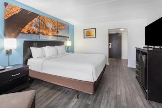 Days Inn by Wyndham Livonia Canton Detroit - 4