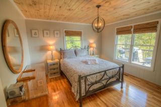 Cloud Forest Lane - 1