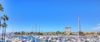 314B Harbor View, Steps to the Beach, Free Wifi, Marina Del Mar 314B - 8