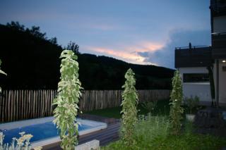 ZeiTraum Ferienwohnung Rohrhardsberg - 2