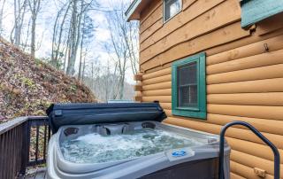 Cub House - Banner Elk - 8