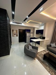 Cozy Elite One Bedroom Apartment - Sheikh Zayed - 0
