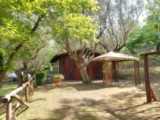 CHALET con spiaggia privata - Bracciano - 9