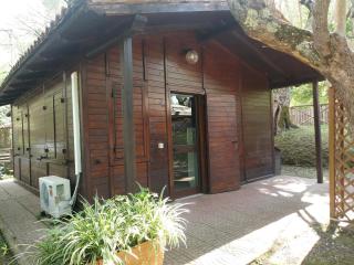 CHALET con spiaggia privata - Bracciano - 0