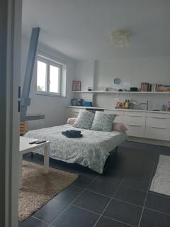 Roubaix près Lille, un cocon en plein centre - Roubaix - 9
