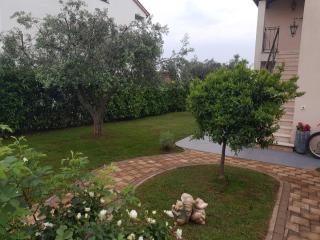 APARTMAN MATEO - Rogovići - 9