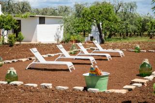 Primo Natalicchio - Ceglie Messapica - 9