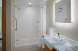 SpringHill Suites by Marriott Bloomington - Bloomington - 8