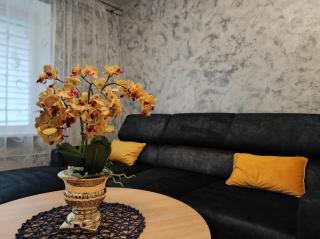 Miesto šviesų apartamentai Telšiuose - Telšiai - 5