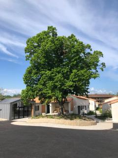 Résidence Grand Tilleul - 1