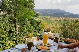אביב בכרם - בקתות כפריות מקסימות עם ג'קוזי מול נוף מדהים - 1