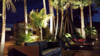 McLaren Vale Motel & Apartments - McLaren Vale - 5
