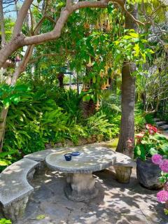 Grand Mansion with tropical park - Marbella - 4