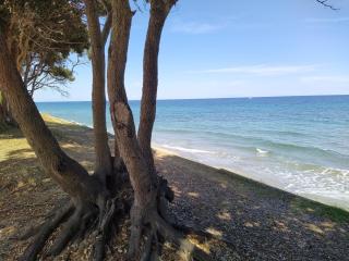 Charmant appartement dans résidence avec piscines - 6