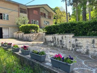 VILLA OLGA - Cese - 7