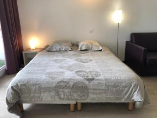 Appart LOURDES 100 m GARE - 4 Places avec Balcon 10mn Sanctuaire - Lourdes - 7