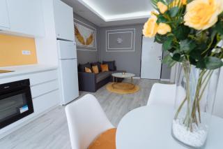 GoldenLux Apartments - Oradea - 6