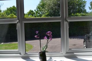 Beautiful studio in Ely - Ely - 9