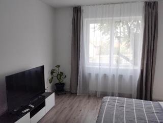Gigi Apartment - Cluj-Napoca - 8