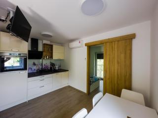 APARTMAJI SILVA - Slap ob Idrijci - 8