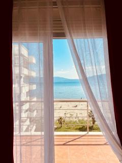 Red Flamingo - Valona - 7