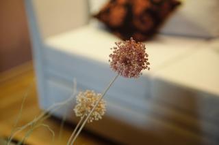Levidi Suites - Levidi - 9