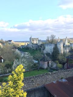 Chez Fred avec vue sur le Château - Angles-sur-lʼAnglin - 5