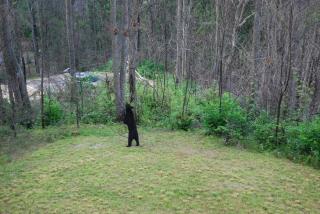 * *Luxury 4 Bdrms, Views, Theater, Arcade, Firepit - Gatlinburg - 8