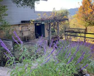 Charming Country Home - Batesville - 4